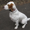 image 49408