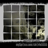 Myspace.com/charle5555  don't forget to add my link as a favorite I appreciate all feedback about my artwork thanks!!!!!