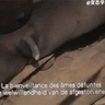 image 49616