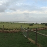 image 49704