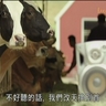 image 49829