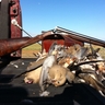 image 49844