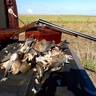 image 49847