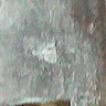 Daly 707 action flat unknown mark