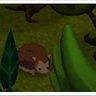 zOMG! Hedgehog