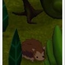 zOMG! Hedgehog B