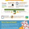 The Reality Of Generic Drugs