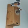 Wolf River Woodies