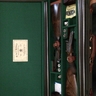 Gun