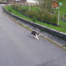 image 52542