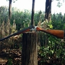 zastava 16