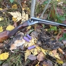 French 16 w/woodcock