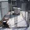 Scouts Kennel