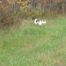 image 56659
