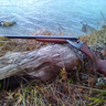 Stevens 16g