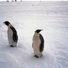 image 56769