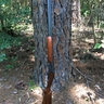 Marlin model 90 16 ga