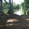 The view out of my computer room window here at my new home on Grand River, Bayou Sorrel, LA