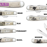 16ga Case SS Knife