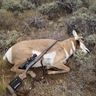 2011 antelope w/444 Marlin