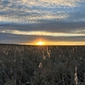 image 71472