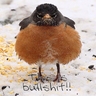 image 71514