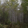 image 71559