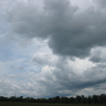 image 73079