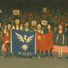 wingswings