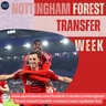 Nottingham Forest January Transfer Window 2025 News, Rumours, & Updates Live