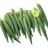 Buy Green Short Bhendi (Okra) Seeds Online | Organic Vegetable Seeds – Santhi Online Plants