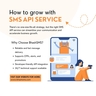 Grow Your Business with BhashSMS API Services