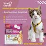 best cat food