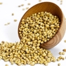 Coriander Seed – Culinary Spice, Health Benefits & Easy Growing Guide