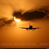 Landing flair