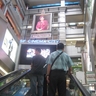 image 7666