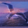 image 7725