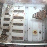 NASA butterflies in space