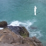 Trindade