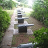 image 8769