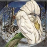 cockatoo