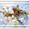 bird