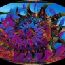FRAC-FLOWER