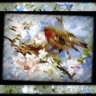 Bird Focus