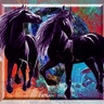 HORSES