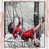 Swing
